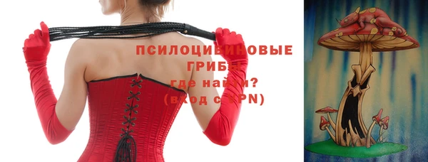 хмурый Абинск