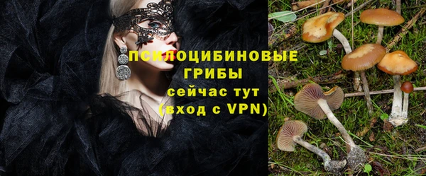 стафф Абаза