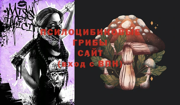 не бодяженный Алексин