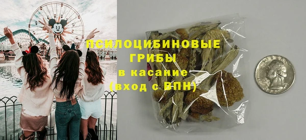 стафф Абаза