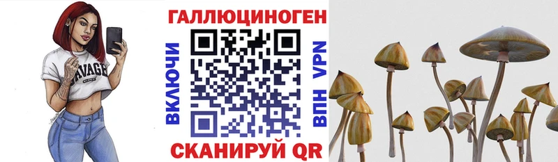 Галлюциногенные грибы Magic Shrooms  Хабаровск 